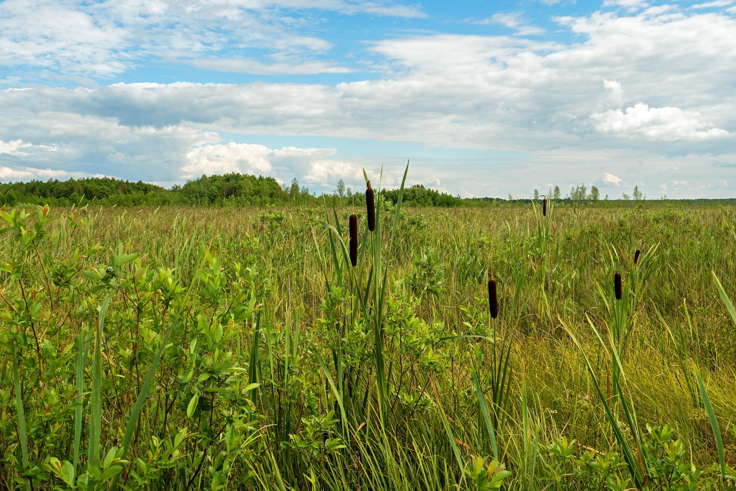 Ścieżka „Długa Luka”